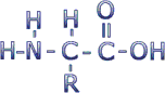 aminoacid